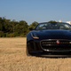 Illustration for article titled The Jaguar F-Type R Is A Terrific Source Of Automotive Therapy